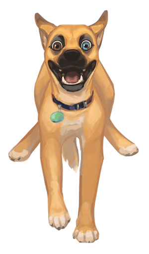 Sagan the Sato in her zoomie state